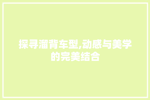探寻溜背车型,动感与美学的完美结合