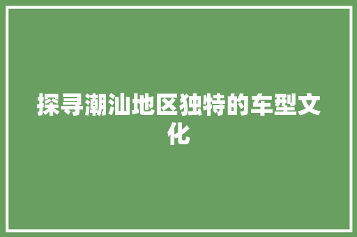 探寻潮汕地区独特的车型文化