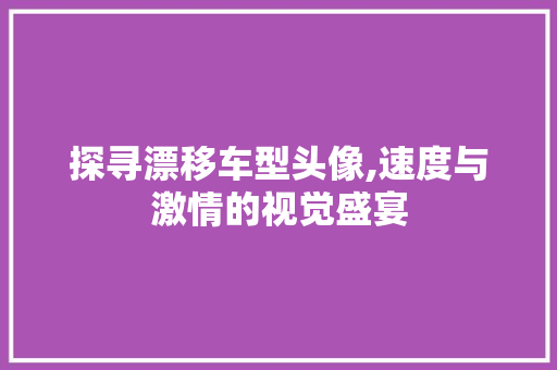 探寻漂移车型头像,速度与激情的视觉盛宴