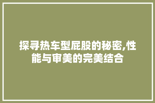 探寻热车型屁股的秘密,性能与审美的完美结合