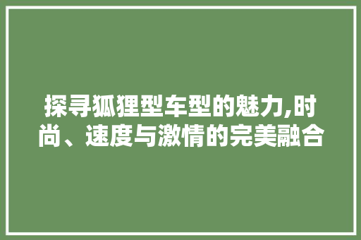 探寻狐狸型车型的魅力,时尚、速度与激情的完美融合