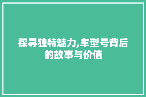 探寻独特魅力,车型号背后的故事与价值