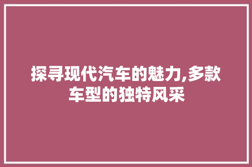 探寻现代汽车的魅力,多款车型的独特风采