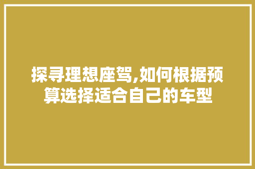 探寻理想座驾,如何根据预算选择适合自己的车型