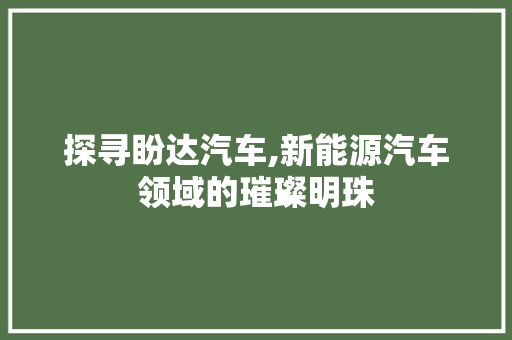探寻盼达汽车,新能源汽车领域的璀璨明珠
