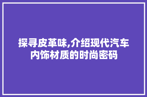 探寻皮革味,介绍现代汽车内饰材质的时尚密码