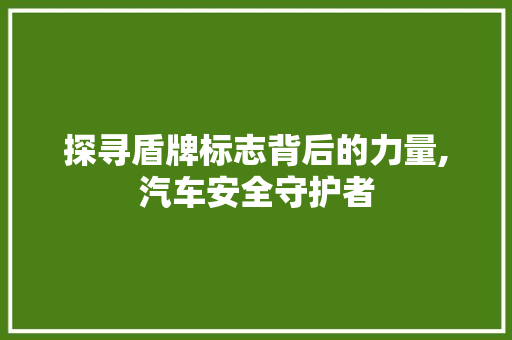 探寻盾牌标志背后的力量,汽车安全守护者