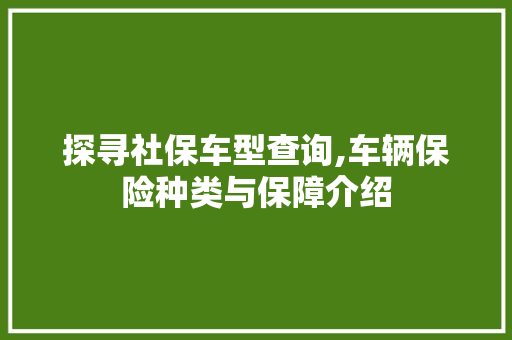 探寻社保车型查询,车辆保险种类与保障介绍