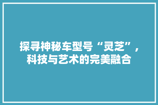 探寻神秘车型号“灵芝”,科技与艺术的完美融合 发动机配件