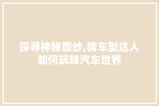 探寻神秘面纱,猜车型达人如何玩转汽车世界