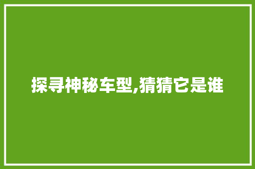 探寻神秘车型,猜猜它是谁