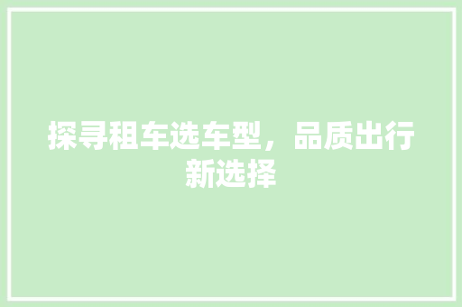 探寻租车选车型，品质出行新选择