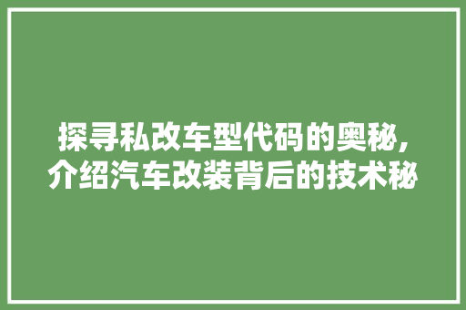 探寻私改车型代码的奥秘,介绍汽车改装背后的技术秘密