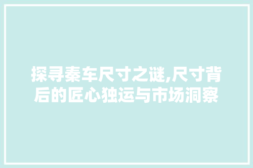 探寻秦车尺寸之谜,尺寸背后的匠心独运与市场洞察