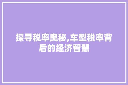 探寻税率奥秘,车型税率背后的经济智慧