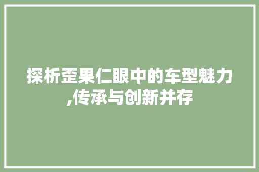 探析歪果仁眼中的车型魅力,传承与创新并存