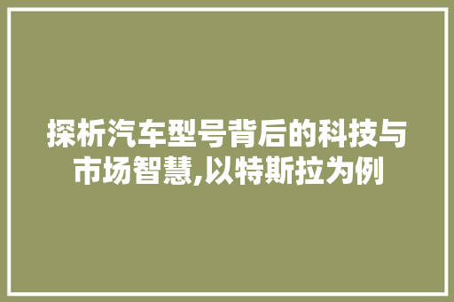 探析汽车型号背后的科技与市场智慧,以特斯拉为例