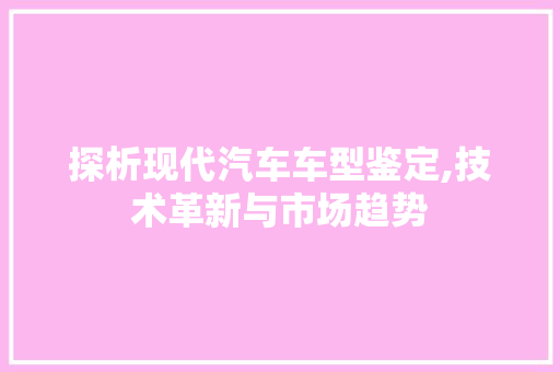 探析现代汽车车型鉴定,技术革新与市场趋势