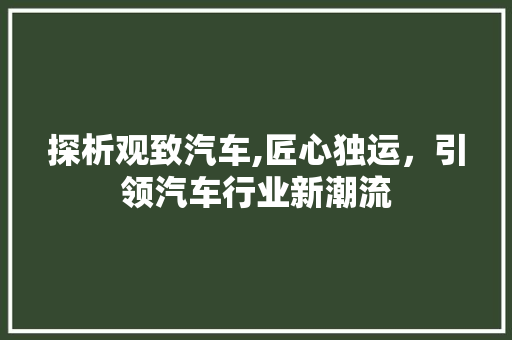 探析观致汽车,匠心独运，引领汽车行业新潮流
