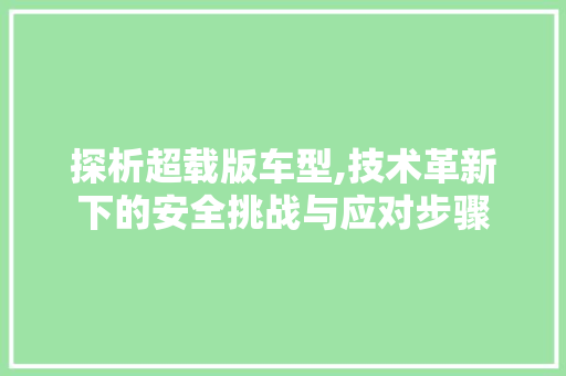 探析超载版车型,技术革新下的安全挑战与应对步骤