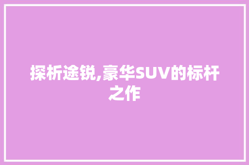 探析途锐,豪华SUV的标杆之作