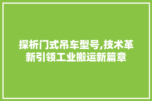 探析门式吊车型号,技术革新引领工业搬运新篇章