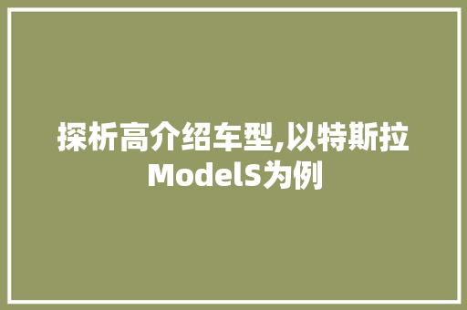 探析高介绍车型,以特斯拉ModelS为例