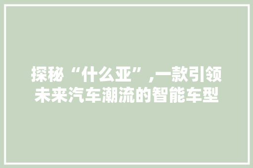 探秘“什么亚”,一款引领未来汽车潮流的智能车型