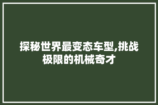 探秘世界最变态车型,挑战极限的机械奇才 车灯配件