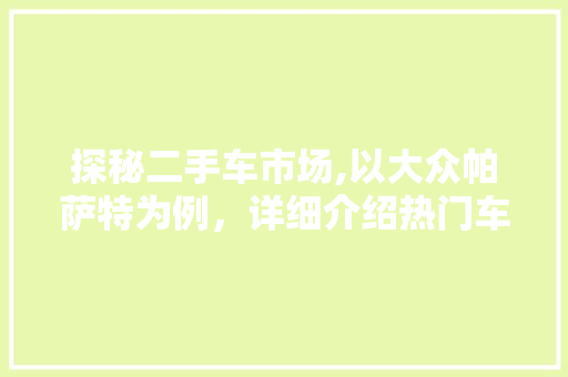 探秘二手车市场,以大众帕萨特为例，详细介绍热门车型
