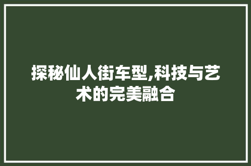 探秘仙人街车型,科技与艺术的完美融合
