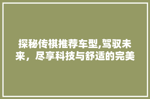 探秘传祺推荐车型,驾驭未来，尽享科技与舒适的完美融合