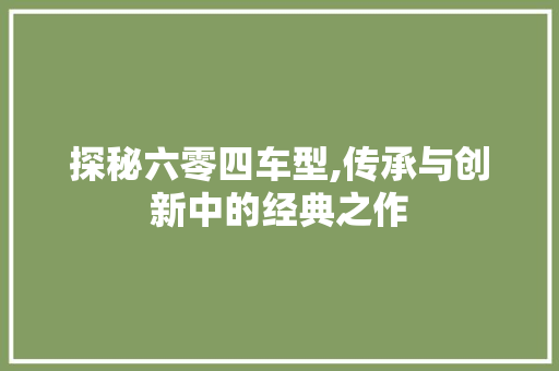 探秘六零四车型,传承与创新中的经典之作