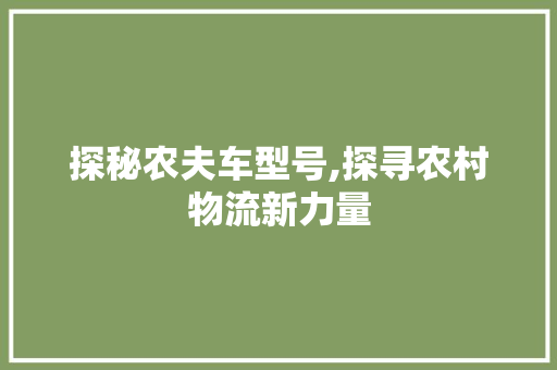 探秘农夫车型号,探寻农村物流新力量