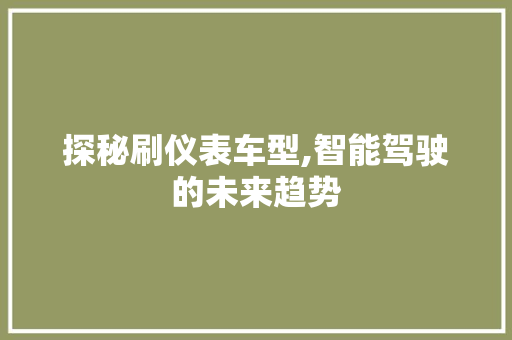 探秘刷仪表车型,智能驾驶的未来趋势