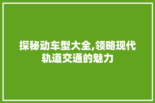 探秘动车型大全,领略现代轨道交通的魅力