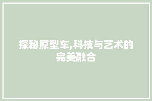 探秘原型车,科技与艺术的完美融合