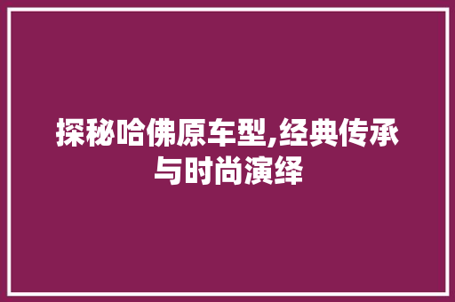 探秘哈佛原车型,经典传承与时尚演绎