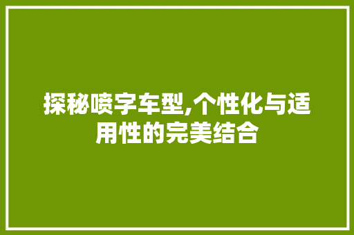 探秘喷字车型,个性化与适用性的完美结合