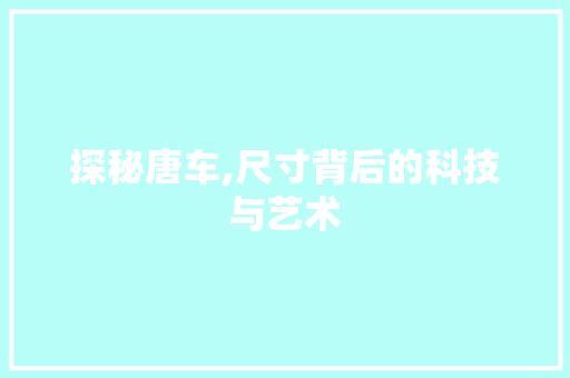 探秘唐车,尺寸背后的科技与艺术