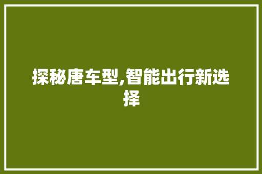 探秘唐车型,智能出行新选择