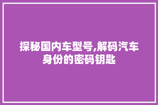 探秘国内车型号,解码汽车身份的密码钥匙