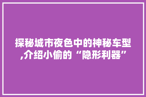 探秘城市夜色中的神秘车型,介绍小偷的“隐形利器”