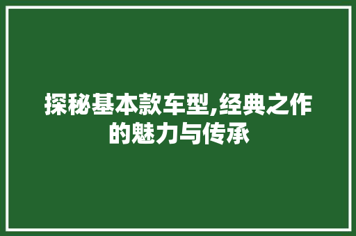 探秘基本款车型,经典之作的魅力与传承