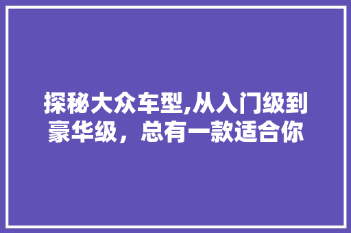 探秘大众车型,从入门级到豪华级，总有一款适合你