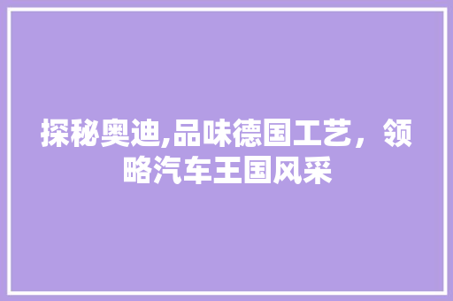 探秘奥迪,品味德国工艺，领略汽车王国风采