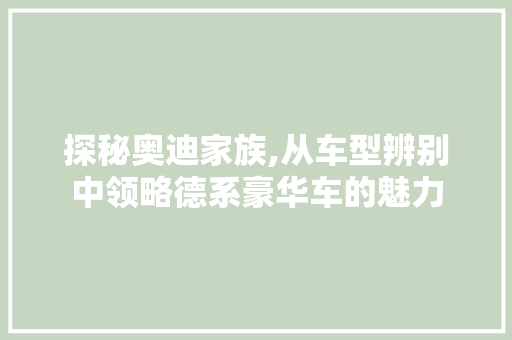 探秘奥迪家族,从车型辨别中领略德系豪华车的魅力 底盘配件