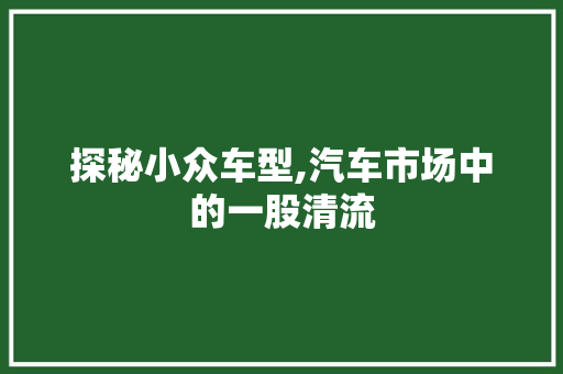 探秘小众车型,汽车市场中的一股清流