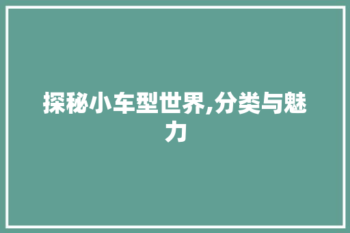 探秘小车型世界,分类与魅力