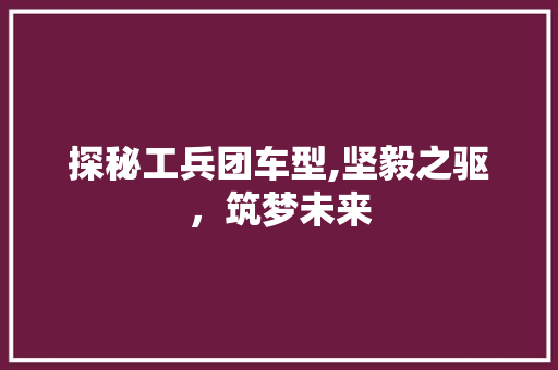 探秘工兵团车型,坚毅之驱，筑梦未来